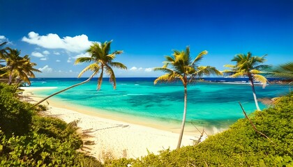 Naklejka premium Beautiful tropical beach with palm trees, sunset beach seascape, design template for travel banner.