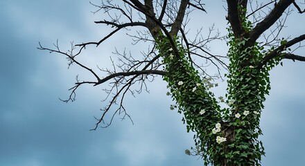 Tree Trunk Covered in Ivy with White Flowers Against Cloudy Sky