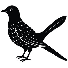 cucko vector sihouette