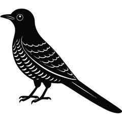 cucko vector sihouette