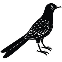 cucko vector sihouette