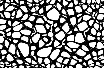 Obraz premium Abstract Black Connected Network Background on White for Creative Projects