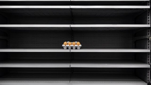 Empty grocery shelves with a lone carton of eggs on display in a supermarket aisle