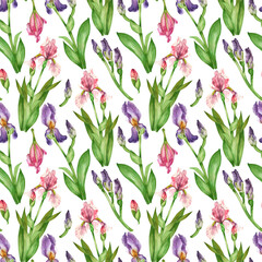 Obraz premium Pink and purple irises, flower buds, leaves, all objects are hand-drawn with watercolors. Watercolor seamless pattern. Suitable for printing on fabric, paper, home textiles.