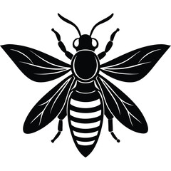 hornet vector