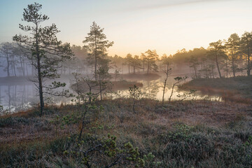 Sunrise on a foggy autumn morning at swamp lake