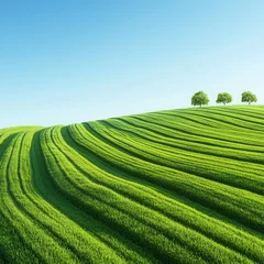 Selbstklebende Fototapeten nature conservation concept. Lush green fields with curved lines and distant trees under a clear sky. isolated on white background © Ai7