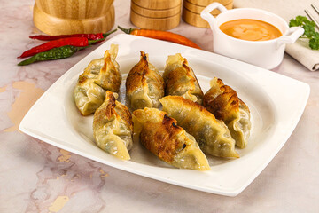 Japanese fried Gyoza stuffed dumplings
