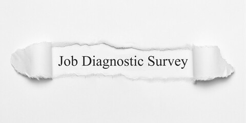 Job Diagnostic Survey	
