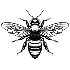 This artwork is a high-quality black and white vector illustration of a bee. The design showcases the bee in full symmetry with intricate detailing on its wings, legs, body hairs, and antennae