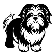 Adorable Shih Tzu Puppy: Fluffy, Playful, and Charming Companion dog pet cute eyes nose paws tail   