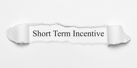 Short Term Incentive	

