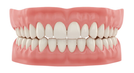 Isolated Denture