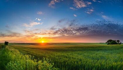 Obraz premium May Sunrise Panoramic on the Midwest Plains