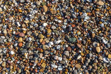 Colorful wet pebbles on the beach shine under the sun, creating a natural texture perfect for backgrounds. Sorgun, Side, Turkey, Mediterranean region.