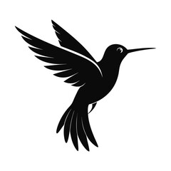 Fototapeta premium hummingbird vector illustration