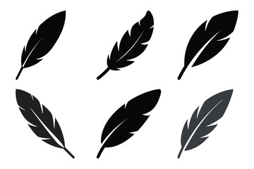 Colorful Feather Illustrations Minimalist Nature-Inspired Design