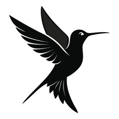 Obraz premium hummingbird