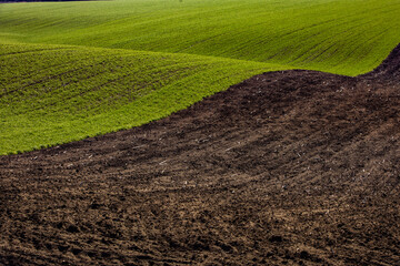 Agricultural field in the spring at sunset. Rural landscape. Landscape with a plowed field.