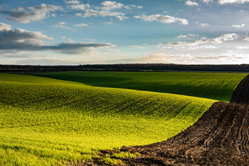 Obraz premium Agricultural field in the spring at sunset. Rural landscape. Landscape with a plowed field.