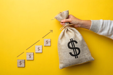 Growing wealth through investment with a money bag and plant against a yellow background