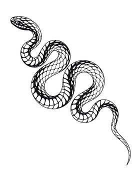 Black and white snake with scales on transparent PNG background. Isolated monochrome illustration of a dangerous and poisonous snake. Venomous reptile on the hunt crawling.