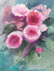 blooming peony bush