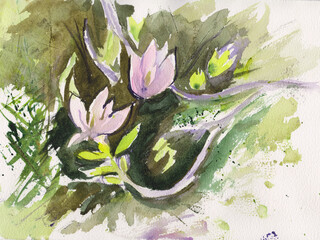 sketch, branch of blooming magnolia
