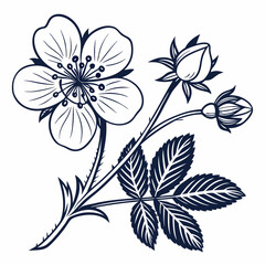 black and white flower