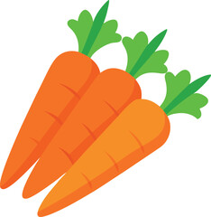 carrot vector illustration