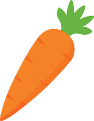 carrot vector illustration