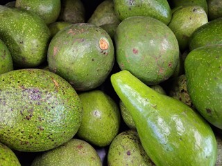 Pile of Green-Skinned Avocados, Mottled Texture, Close-Up View, Natural Light.