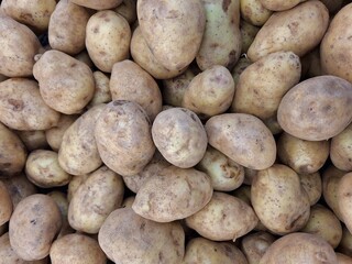 Abundant Harvest: Earthy Potatoes, Textured Skins, and Natural Tones.