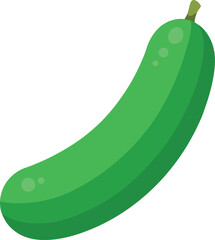 vector illustration of a cucumber