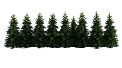PNG of A lush row of evergreen trees standing tall, enhancing the natural beauty of any landscape.