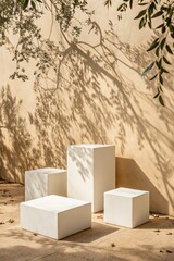 Abstract Minimal Nature Scene with White Podiums