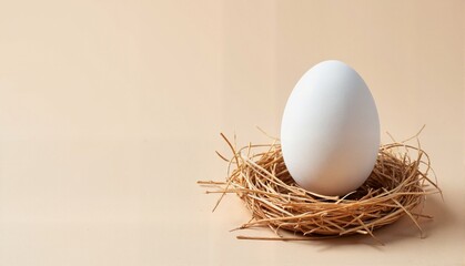 Single white egg resting in a natural straw nest against a soft beige background, representing simplicity and freshness, concept of organic farming or culinary arts