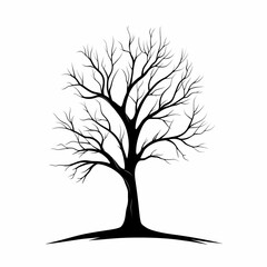 Obraz premium Leafless Tree Silhouette. Black & White Illustration of Ancient Woodland Branches - Nature Art Vector Design