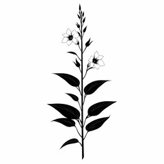 Naklejka premium Black and White Botanical Illustration. Line Art Floral Design Featuring Unique Tropical Flora Silhouettes