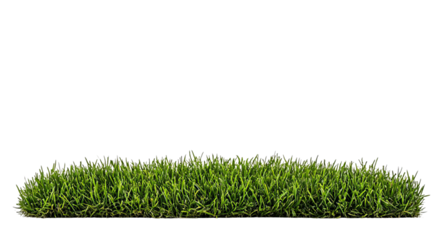 PNG of Vibrant green grass patch on a dark background, showcasing lush texture and vivid color contrast.