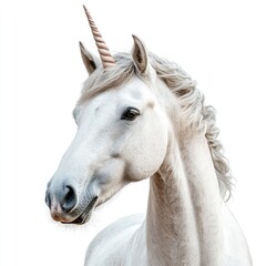 White horse with a unicorn horn