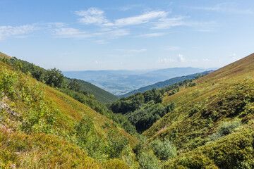 Obraz premium Breathtaking Borzhava Valley in the Carpathian Mountains