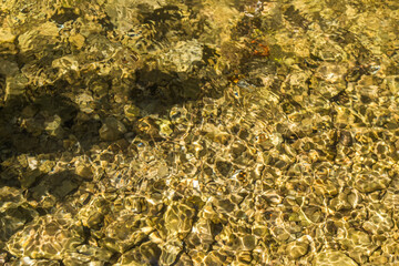 Tranquil Riverbed Serenity: Sunlit Rocks and Clear Waters