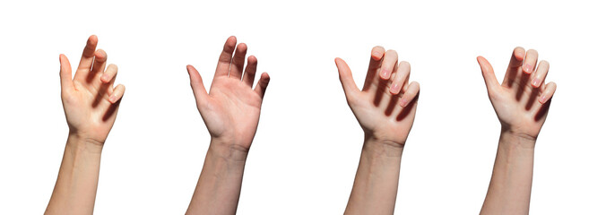hand reaching out, ready to grab or hold something. Palm open with fingers extended, symbolizing offering or receiving. Closeup view of a hand in a sunny setting, isolated on white background, ideal.