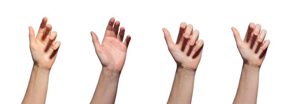 hand reaching out, ready to grab or hold something. Palm open with fingers extended, symbolizing offering or receiving. Closeup view of a hand in a sunny setting, isolated on white background, ideal.