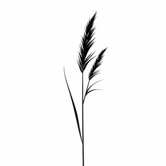 Fototapeta premium Artistic Minimalistic Botanical Silhouette. Elegant Black-and-White Pampas Grass Illustration for Eco-Friendly Design and Wellness Decor