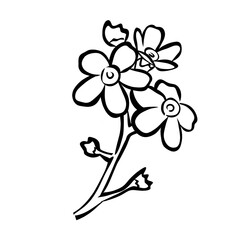 Bouquets of flowers in transparent png