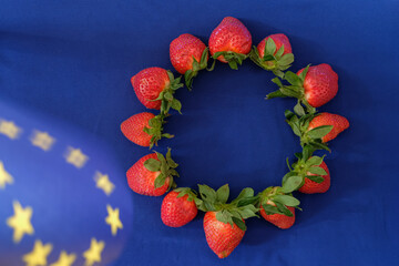 Сonceptual representation of fruit production and trade in the European Union. Strawberries...