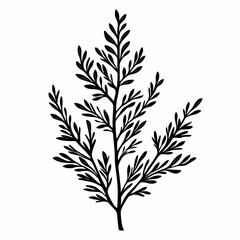 Eco-Friendly Botanical Illustration. Vintage Leaf and Foliage Design in Minimalistic Greenery Silhouette