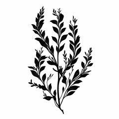 Naklejka premium Modern Botanical Design. Vector Art of Black Silhouette Plant with Hand-Drawn Leaves for Nature-Inspired Decorative Foliage and Wedding Invitation Elements